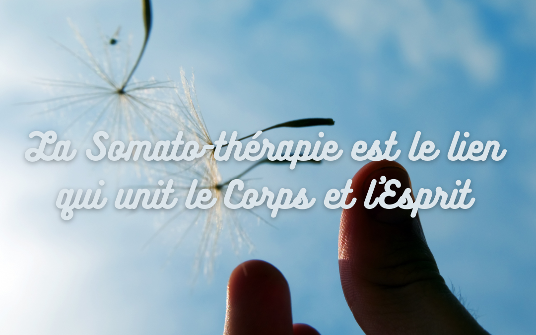 ️La Somato-thérapie est le lien qui unit le Corps et l’Esprit